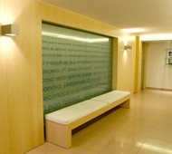 PANELADOS EN CLINICA DENTAL